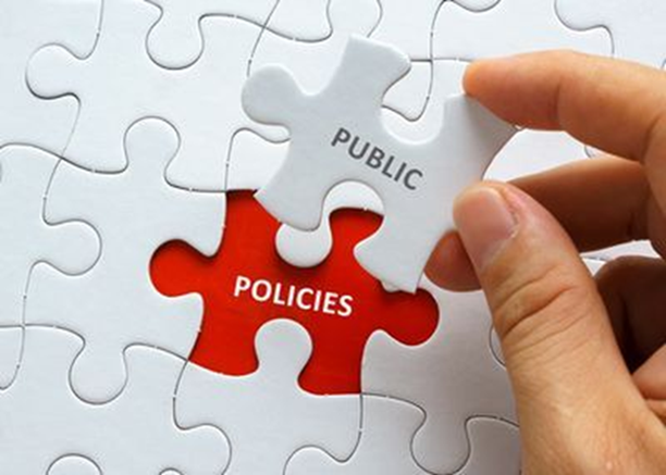 Annual Report for 2024 on the Implementation of the Action Plan of the Public Policy Management Improvement and Regulatory Reform Programme 2021–2025 Adopted